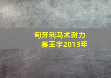 匈牙利马术耐力赛王宇2013年