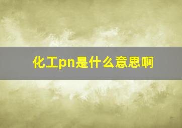 化工pn是什么意思啊