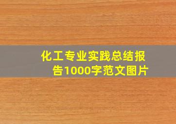 化工专业实践总结报告1000字范文图片