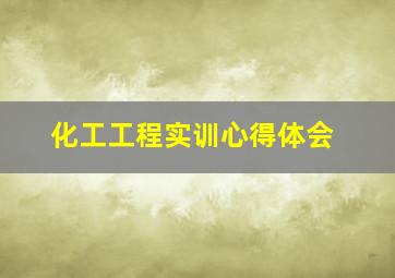 化工工程实训心得体会