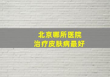 北京哪所医院治疗皮肤病最好