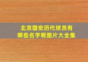 北京国安历代球员有哪些名字呢图片大全集