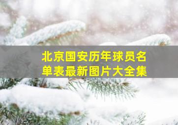 北京国安历年球员名单表最新图片大全集