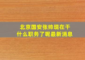 北京国安张帅现在干什么职务了呢最新消息