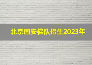 北京国安梯队招生2023年