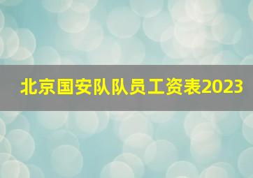 北京国安队队员工资表2023