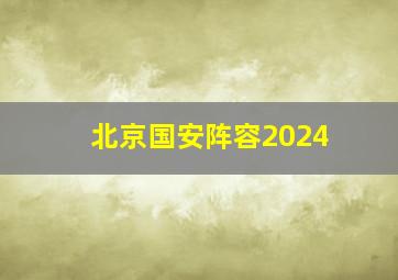 北京国安阵容2024