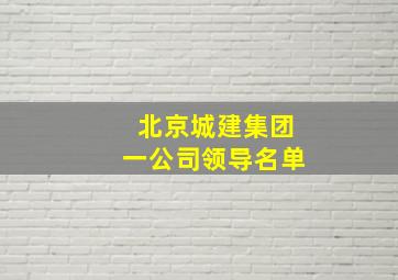 北京城建集团一公司领导名单