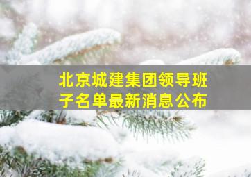 北京城建集团领导班子名单最新消息公布