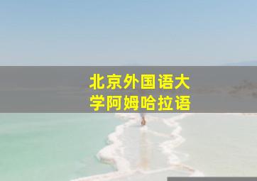 北京外国语大学阿姆哈拉语