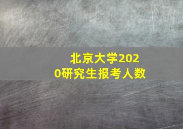 北京大学2020研究生报考人数