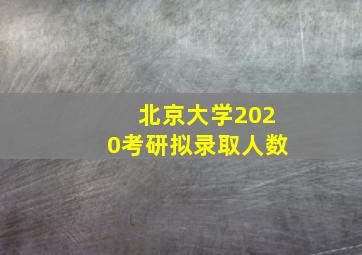 北京大学2020考研拟录取人数