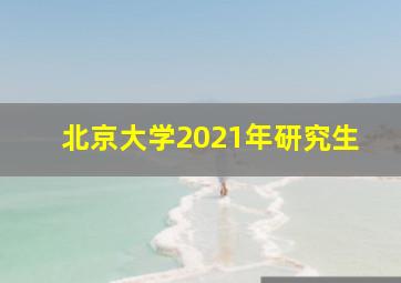 北京大学2021年研究生