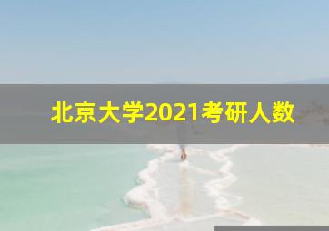 北京大学2021考研人数