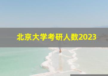 北京大学考研人数2023