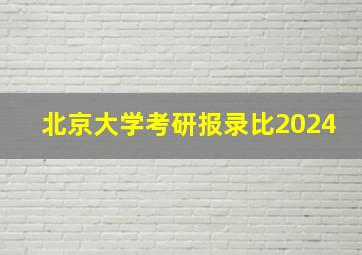 北京大学考研报录比2024