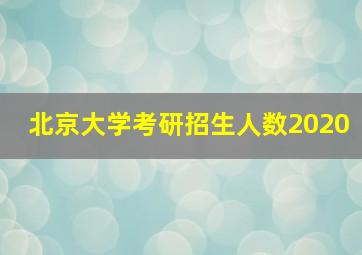 北京大学考研招生人数2020