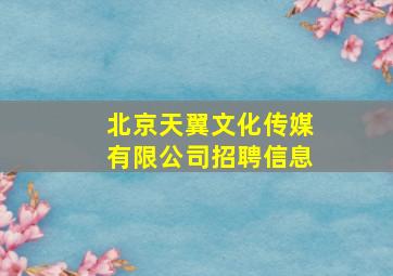 北京天翼文化传媒有限公司招聘信息