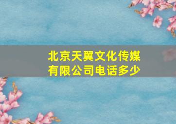 北京天翼文化传媒有限公司电话多少