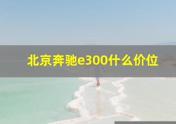 北京奔驰e300什么价位