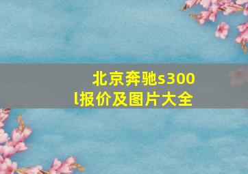 北京奔驰s300l报价及图片大全