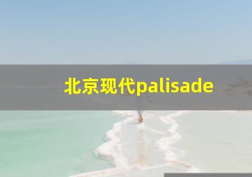 北京现代palisade