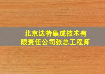 北京达特集成技术有限责任公司张总工程师