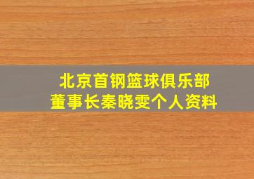 北京首钢篮球俱乐部董事长秦晓雯个人资料