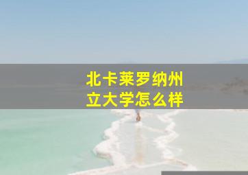 北卡莱罗纳州立大学怎么样