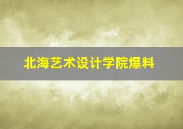 北海艺术设计学院爆料