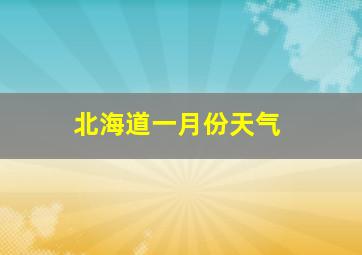 北海道一月份天气