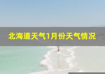 北海道天气1月份天气情况