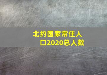 北约国家常住人口2020总人数