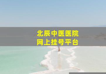 北辰中医医院网上挂号平台