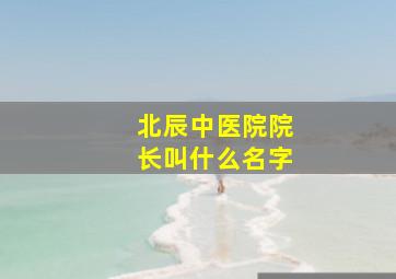 北辰中医院院长叫什么名字