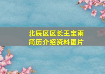 北辰区区长王宝雨简历介绍资料图片