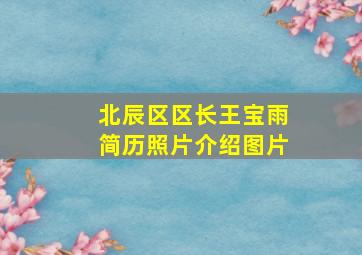 北辰区区长王宝雨简历照片介绍图片