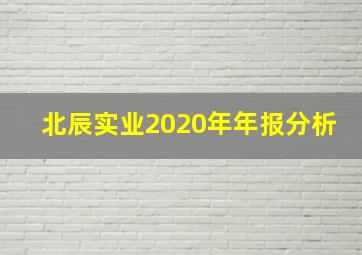 北辰实业2020年年报分析