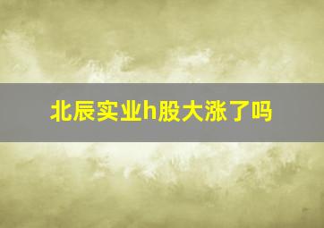 北辰实业h股大涨了吗