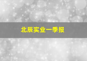 北辰实业一季报