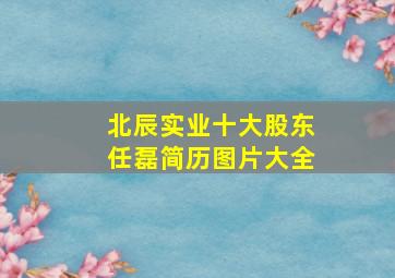 北辰实业十大股东任磊简历图片大全