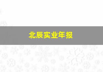 北辰实业年报