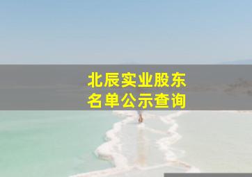 北辰实业股东名单公示查询