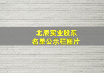 北辰实业股东名单公示栏图片