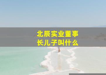 北辰实业董事长儿子叫什么