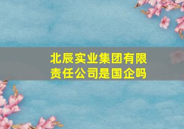 北辰实业集团有限责任公司是国企吗