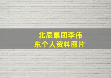 北辰集团李伟东个人资料图片