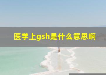 医学上gsh是什么意思啊