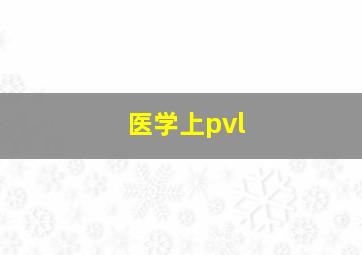 医学上pvl