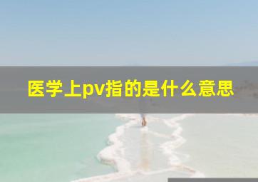 医学上pv指的是什么意思